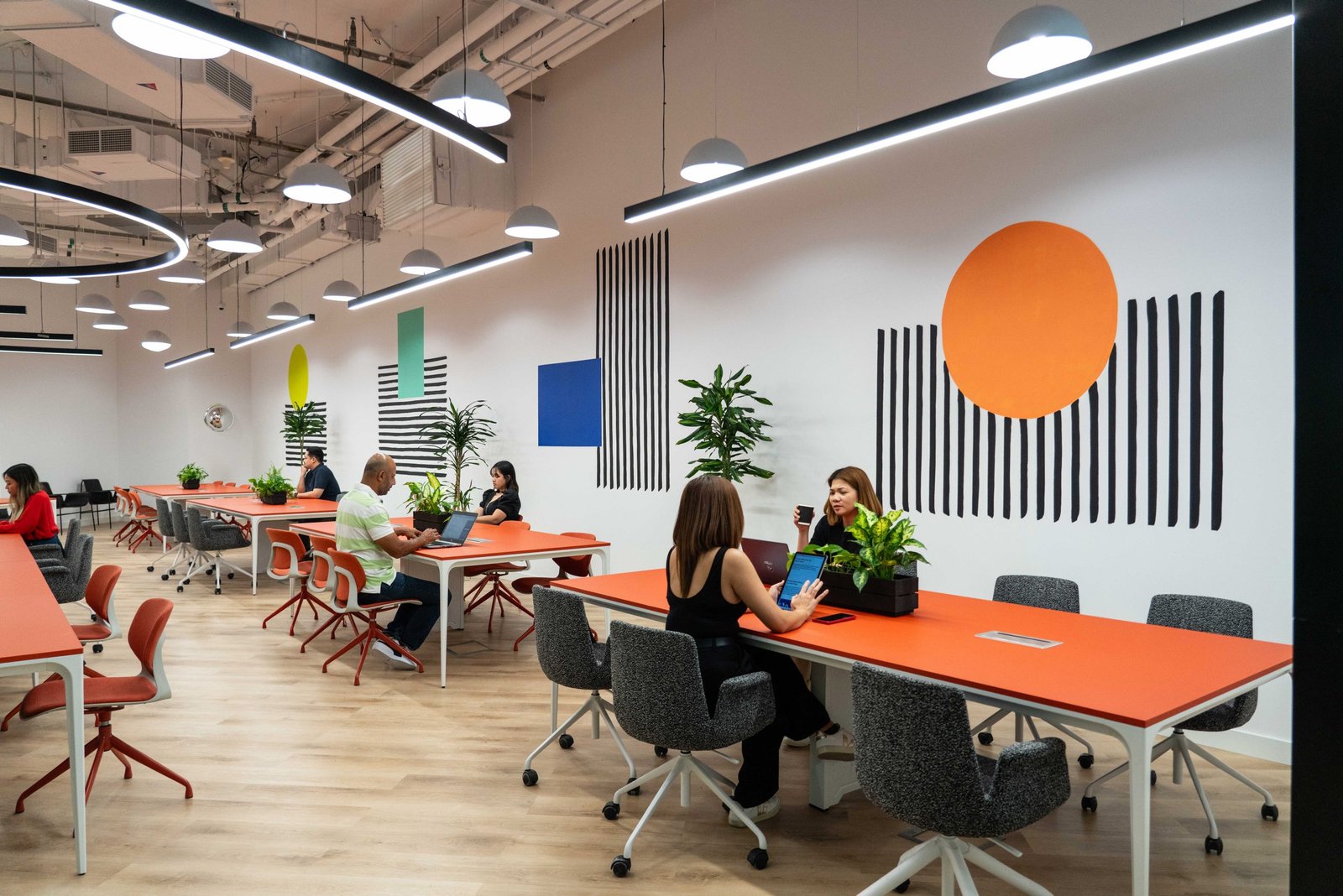 Akyol Fintech's professional environment